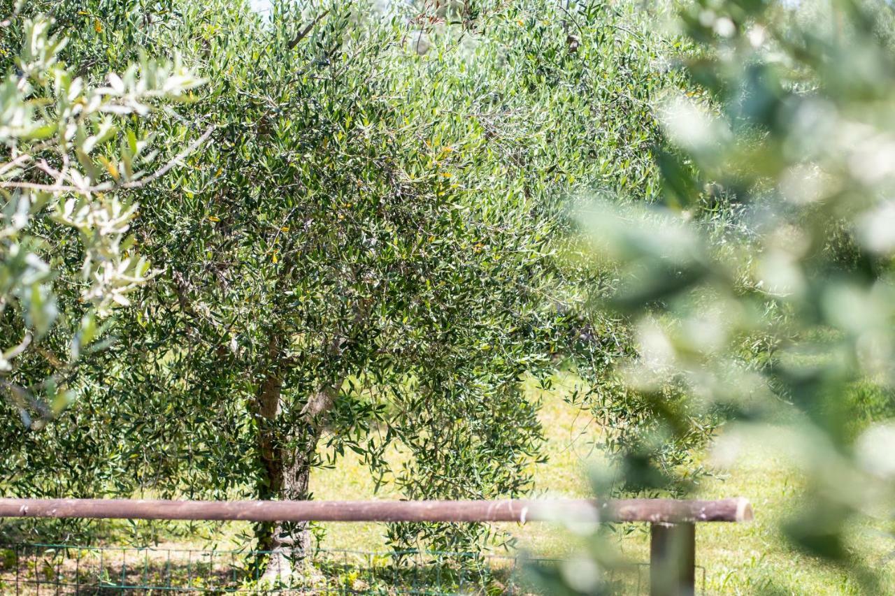 Agriturismo Filettro Volterra Exterior photo